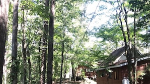 Un sentier bordé d’arbres qui mène à un chalet au toit de chaume.