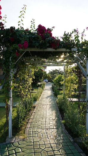 Garden - Seamount Hotel (Karangasem)