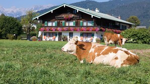 Ein zweigeschossiges Gebäude mit einem grünen Dach und einem Balkon voller Blumen.