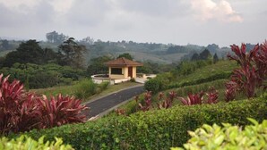 A small, single-story building with a tiled roof, surrounded by lush greenery and a winding road. - Mountain Lodge CheTica (San Jeronimo)