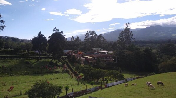 Paisaje rural con una casa rodeada de vegetación y algunas ovejas pastando.
