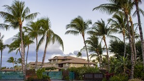 A hotel with a paved driveway, palm trees, and a gated entrance.