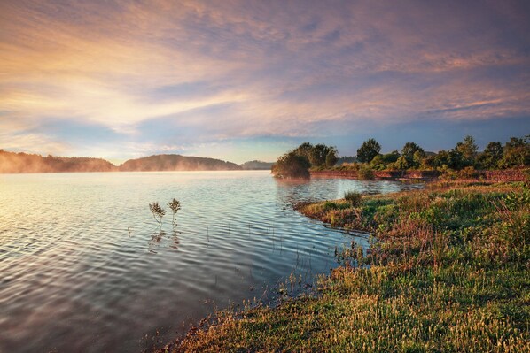 Un paysage paisible au bord d’un lac, avec une eau calme, des rives verdoyantes et des arbres qui se dessinent à l’horizon sous un ciel dégagé.