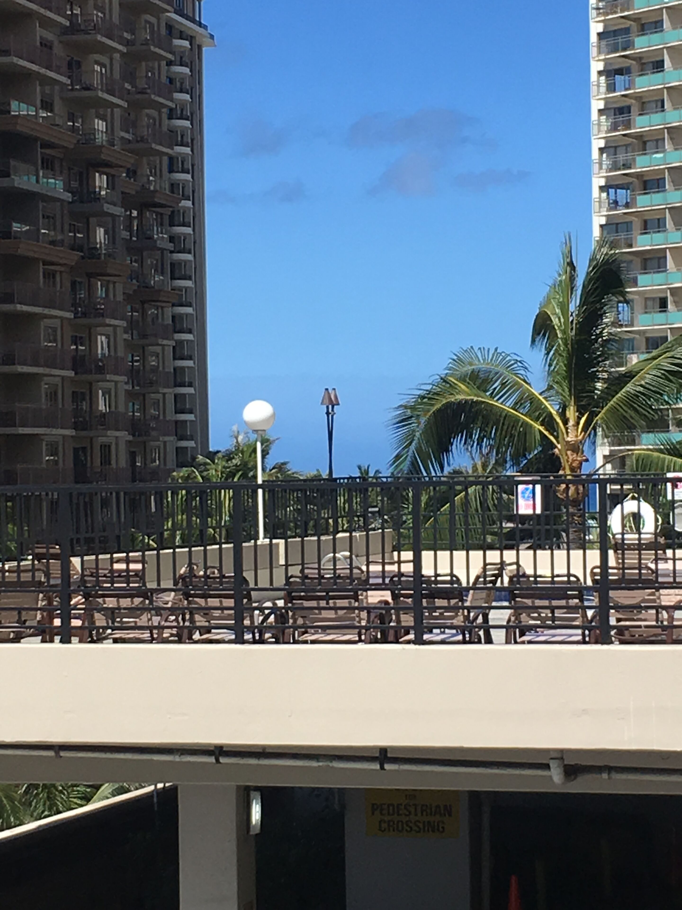 A pedestrian crossing sign, palm trees, and high-rise buildings in the background.