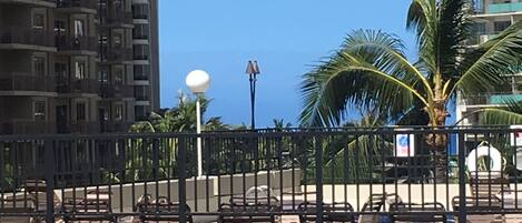 A pedestrian crossing sign, palm trees, and high-rise buildings in the background.