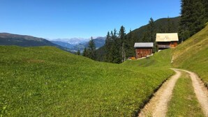 Un paysage rural avec un chemin de terre menant à un chalet en bois, entouré d’une végétation luxuriante et avec des montagnes en arrière-plan.