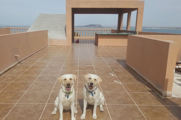 Wonderful Views On the Top Deck.