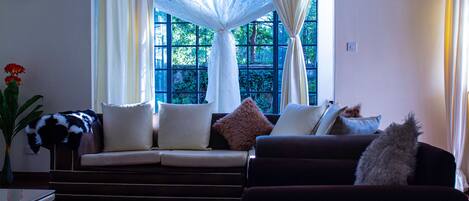 TV, fireplace, DVD player, books