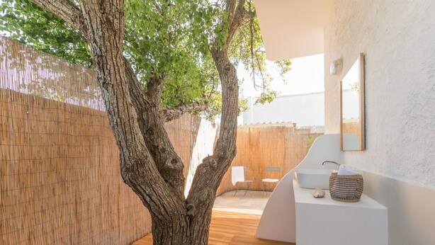 Une salle de bain moderne avec un grand arbre, un lavabo blanc et un miroir au mur.