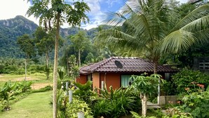 Una casa pequeña con tejado de tejas rodeada de abundante vegetación y una montaña al fondo.