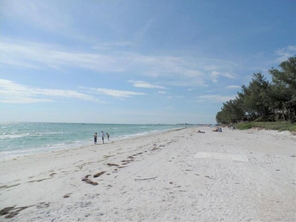 Una playa cerca
