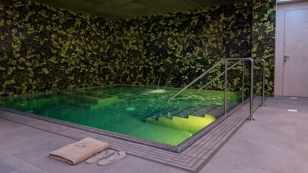 A swimming pool with a greenish hue, surrounded by a tiled floor and a wall covered in green foliage. - Il Cru di Vignanova (Castagneto Carducci)
