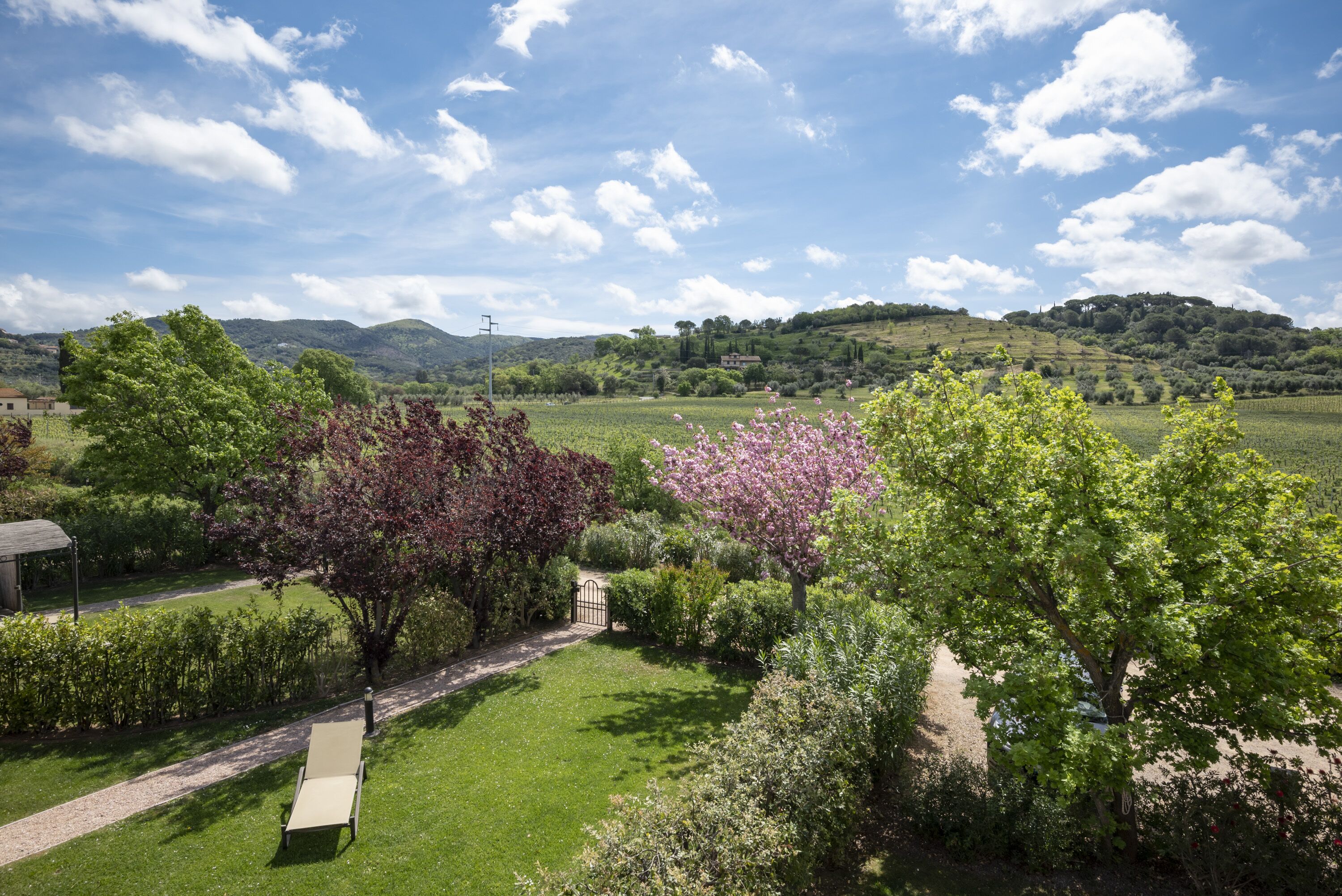 A garden with a pathway, a bench, and a view of hills in the background.