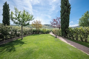 Exterior - Il Cru di Vignanova (Castagneto Carducci)