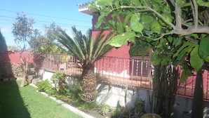 Un jardín bien cuidado con una palmera, arbustos diversos y un edificio rojo con valla metálica.