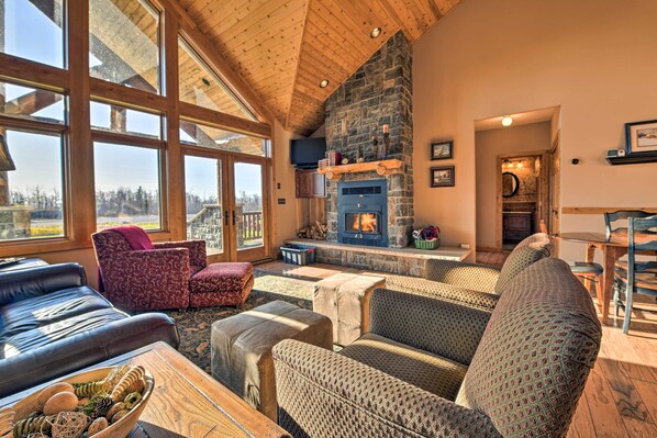 TV, fireplace, books, video library