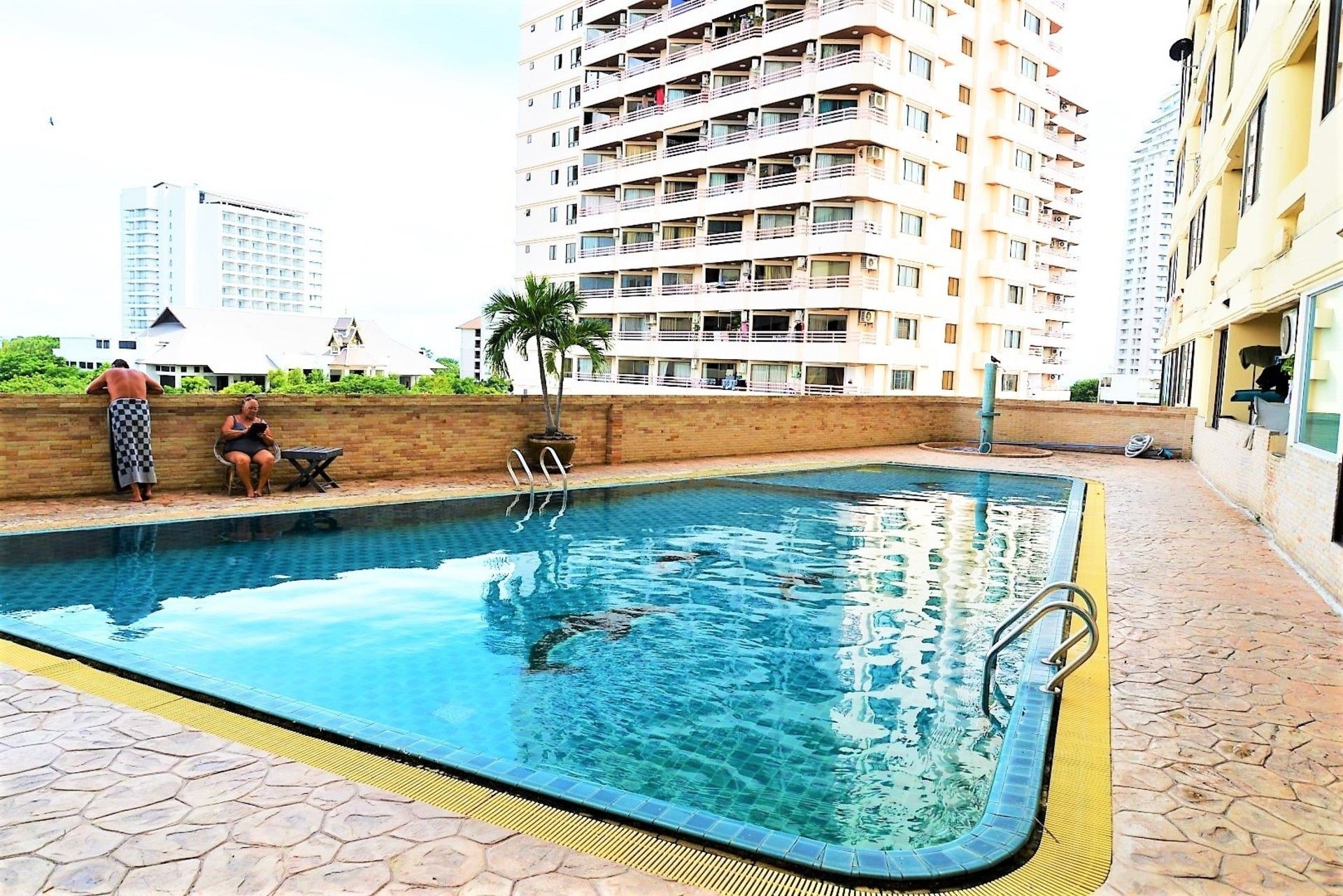 A swimming pool with a tiled edge, a palm tree, and a brick wall.