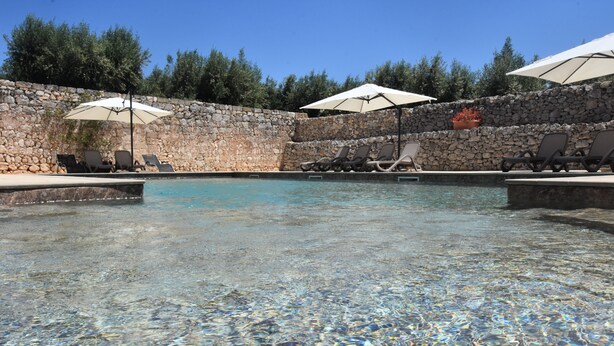 Une piscine aux eaux cristallines, bordée de chaises longues et d’ombrelles, et entourée d’un mur de pierre et d’arbres.