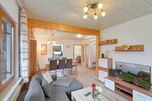 TV connectée, cheminée, lecteur de DVD, chaîne hi-fi