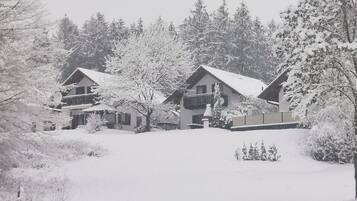 Esterni