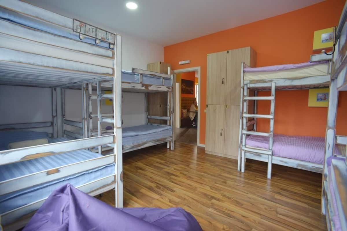 A dormitory room with bunk beds, wooden flooring, and orange walls.