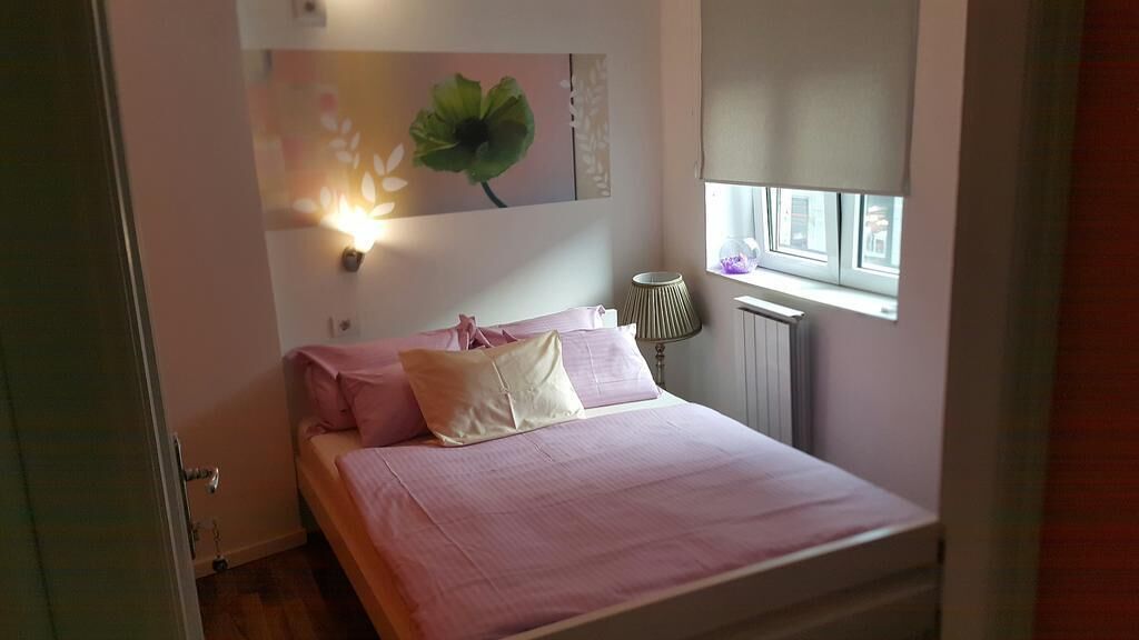 Foto - Stella Di Notte