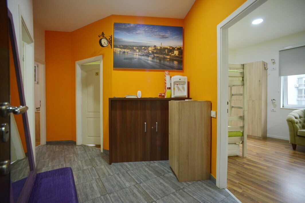 Foto - Stella Di Notte