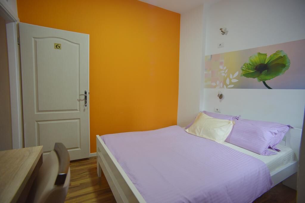 Foto - Stella Di Notte