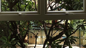 Una ventana con vistas a un follaje verde y una valla al fondo.