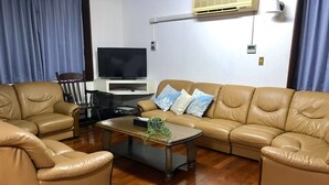 En stue med en beige lædersofa, en matchende lænestol og et sofabord med en plante. Et fladskærms-TV er monteret på væggen, og der er et vindue med gardiner.