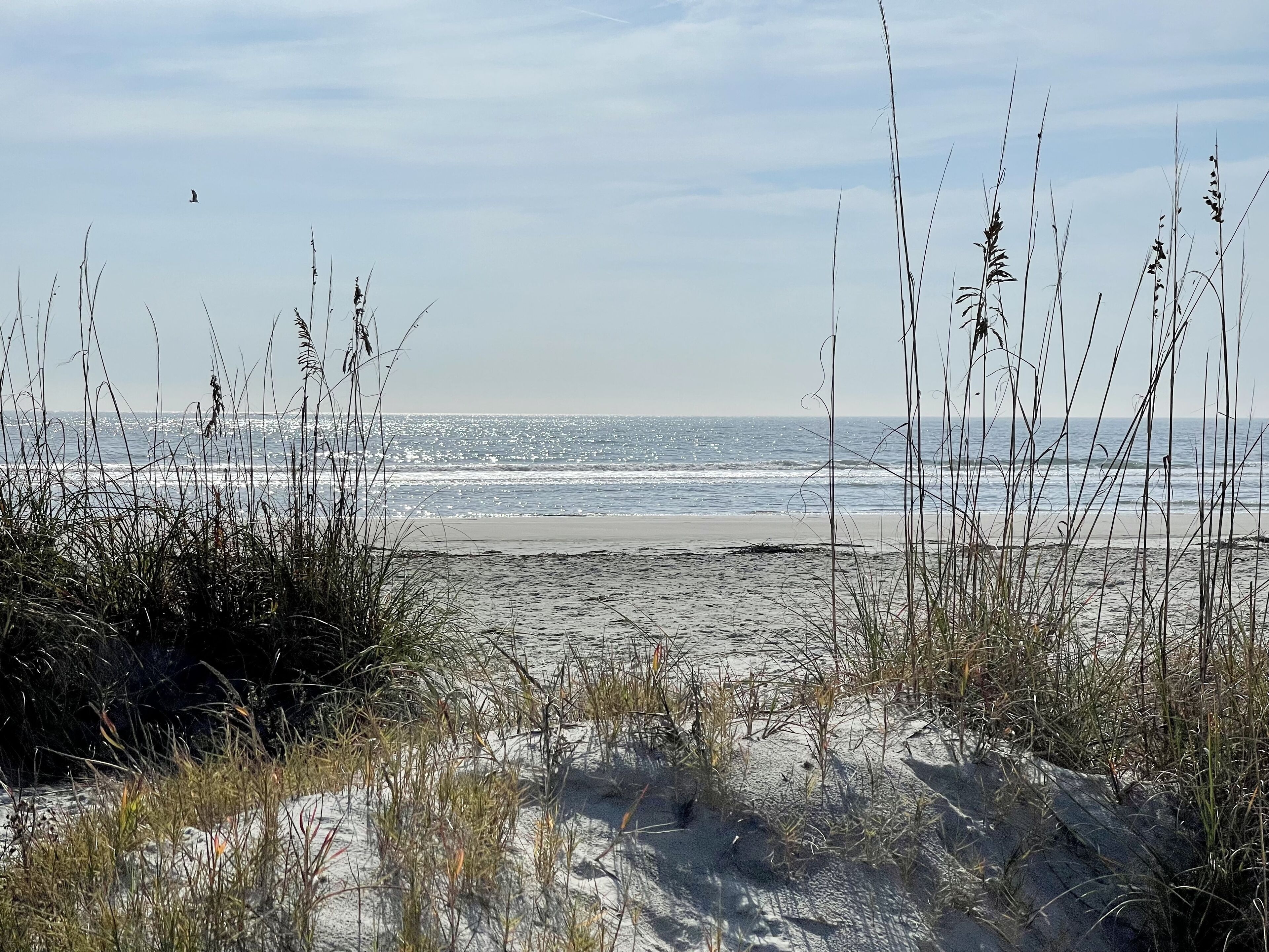 Playa en los alrededores y toallas de playa 