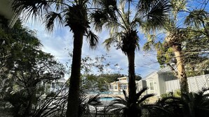 A tropical garden with palm trees and a pool area.