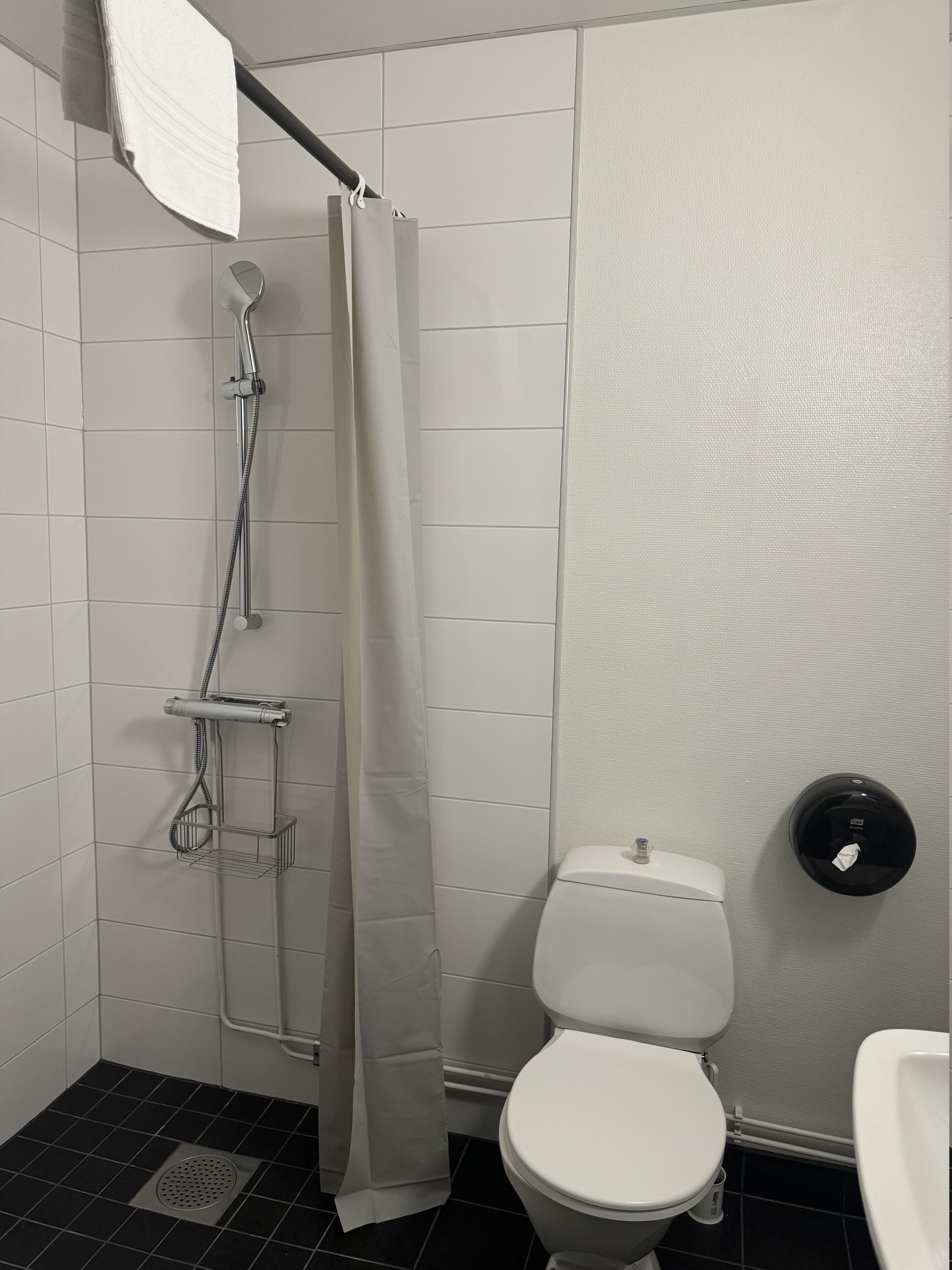 Un bagno con doccia, toilette e asciugatore a mano.