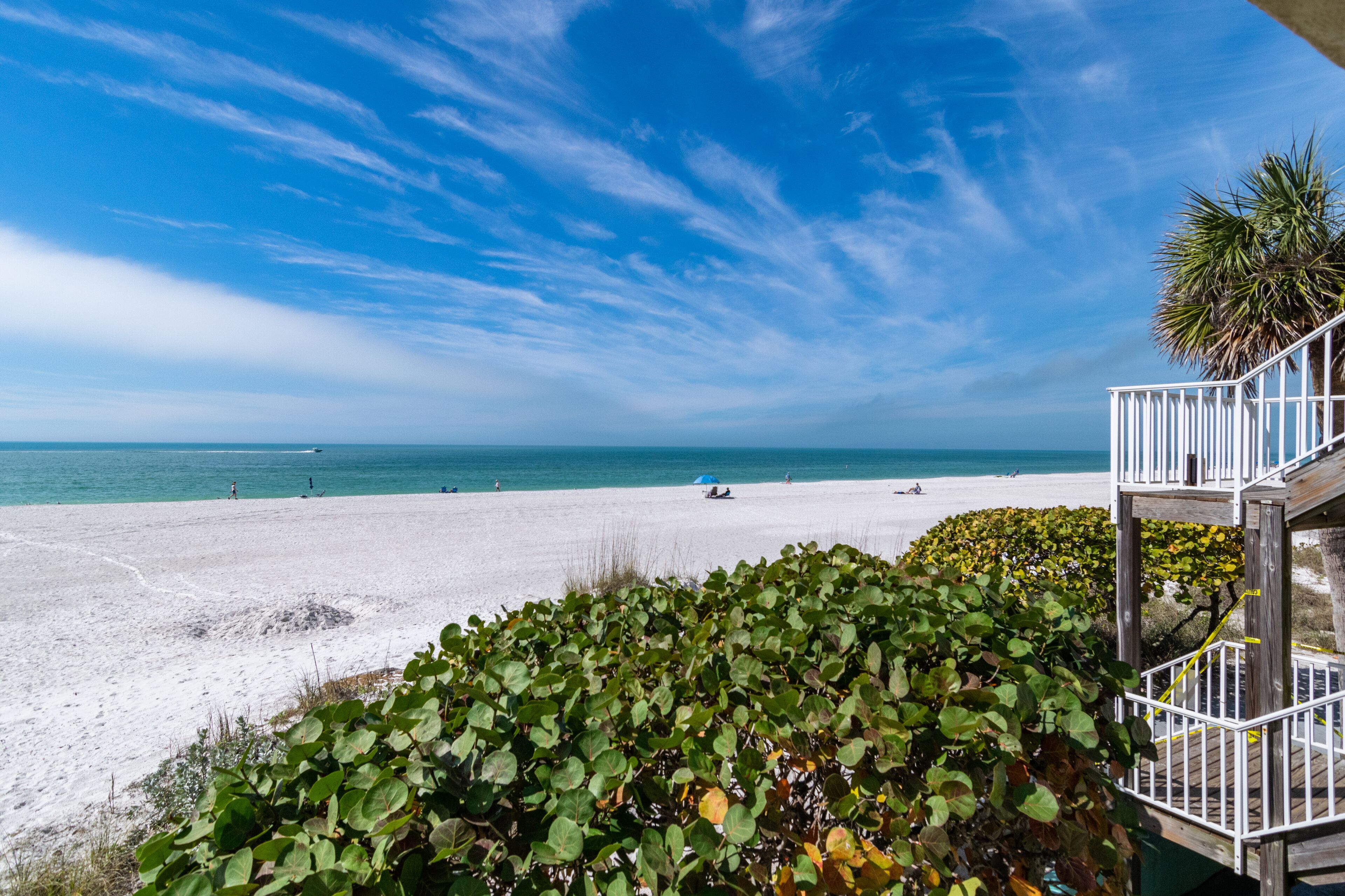 A beach with a white railing and a palm tree.