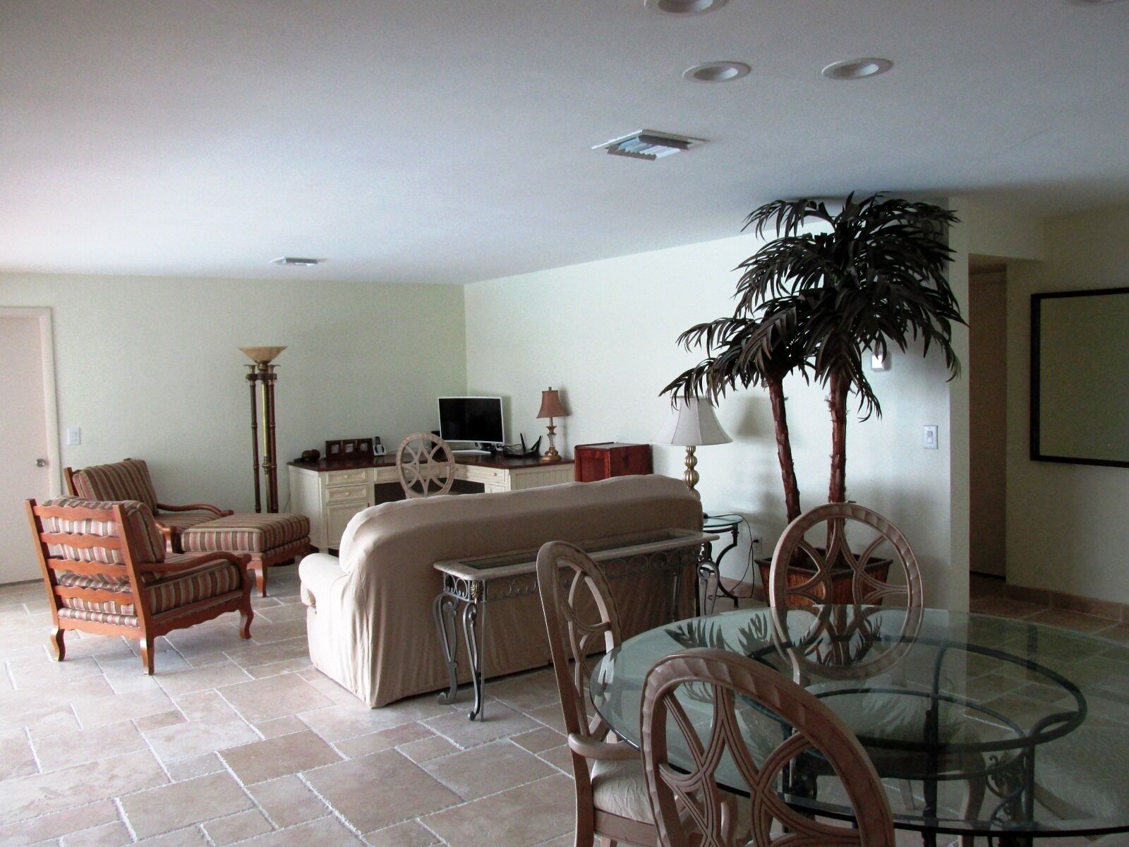 A living room with a sofa, chairs, a glass table, a TV, a lamp, and a large plant.
