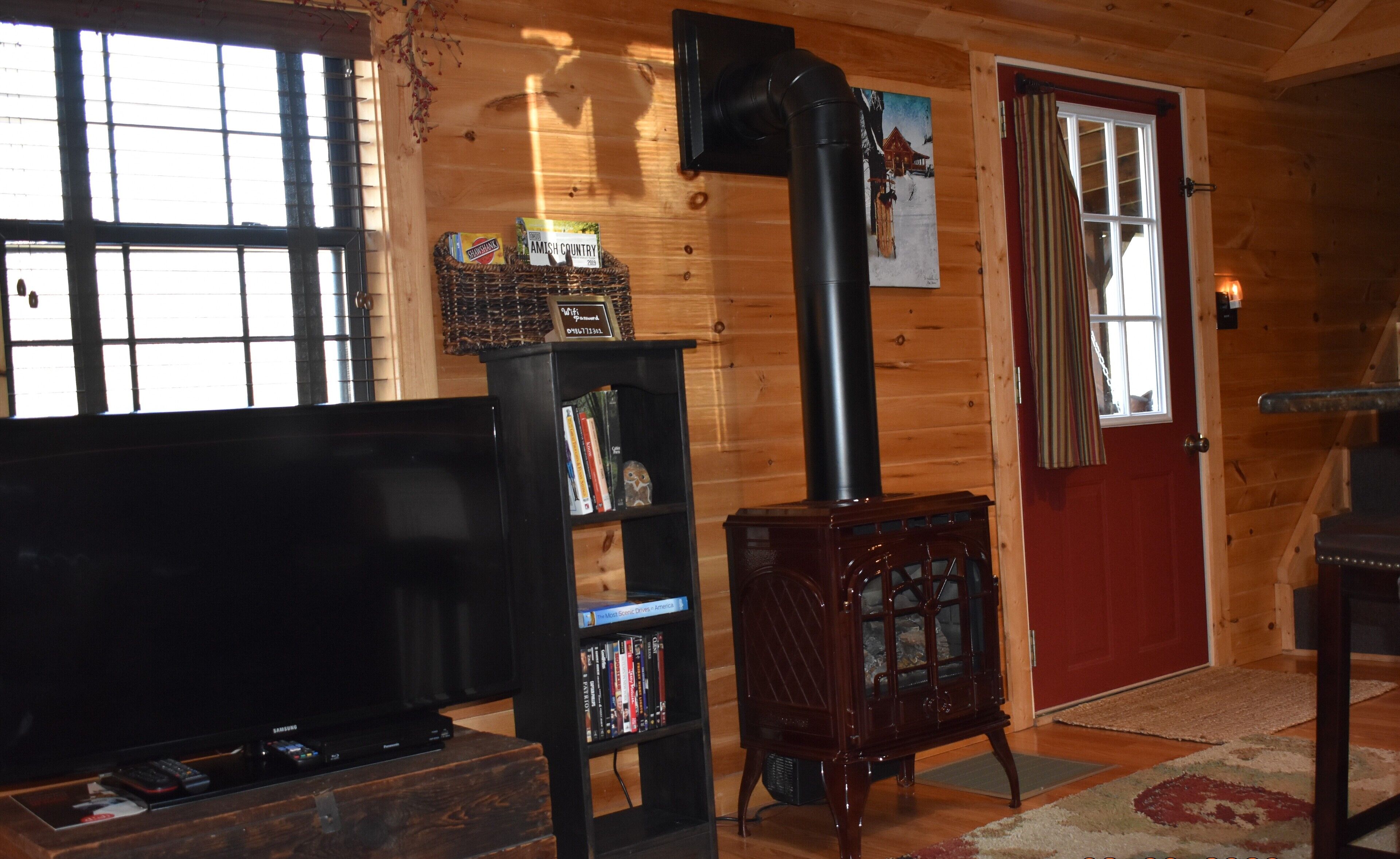 Smart TV, fireplace, DVD player, books