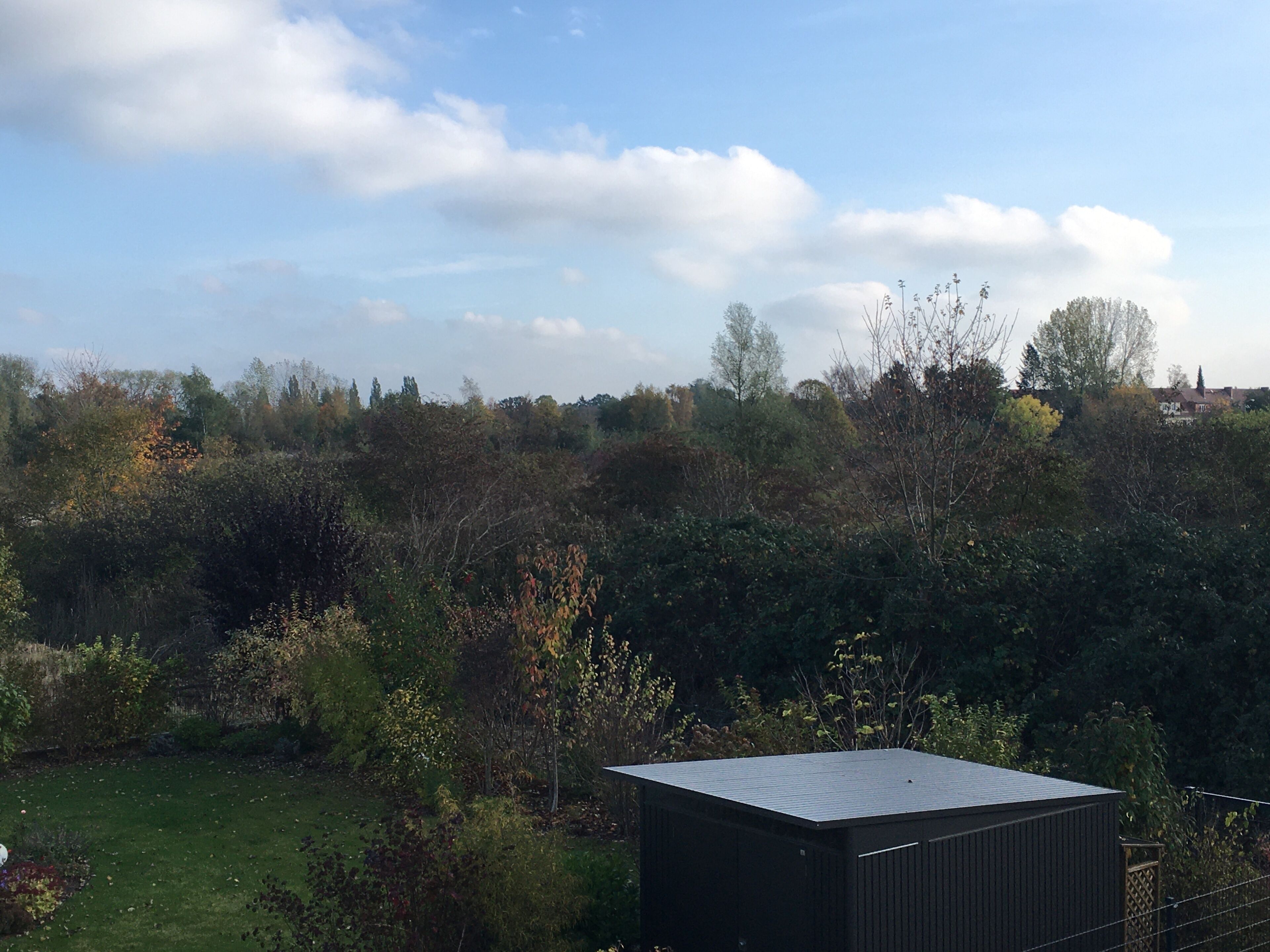 Une vue d’un jardin avec un petit abri de jardin, entouré d’un feuillage dense et d’arbres.