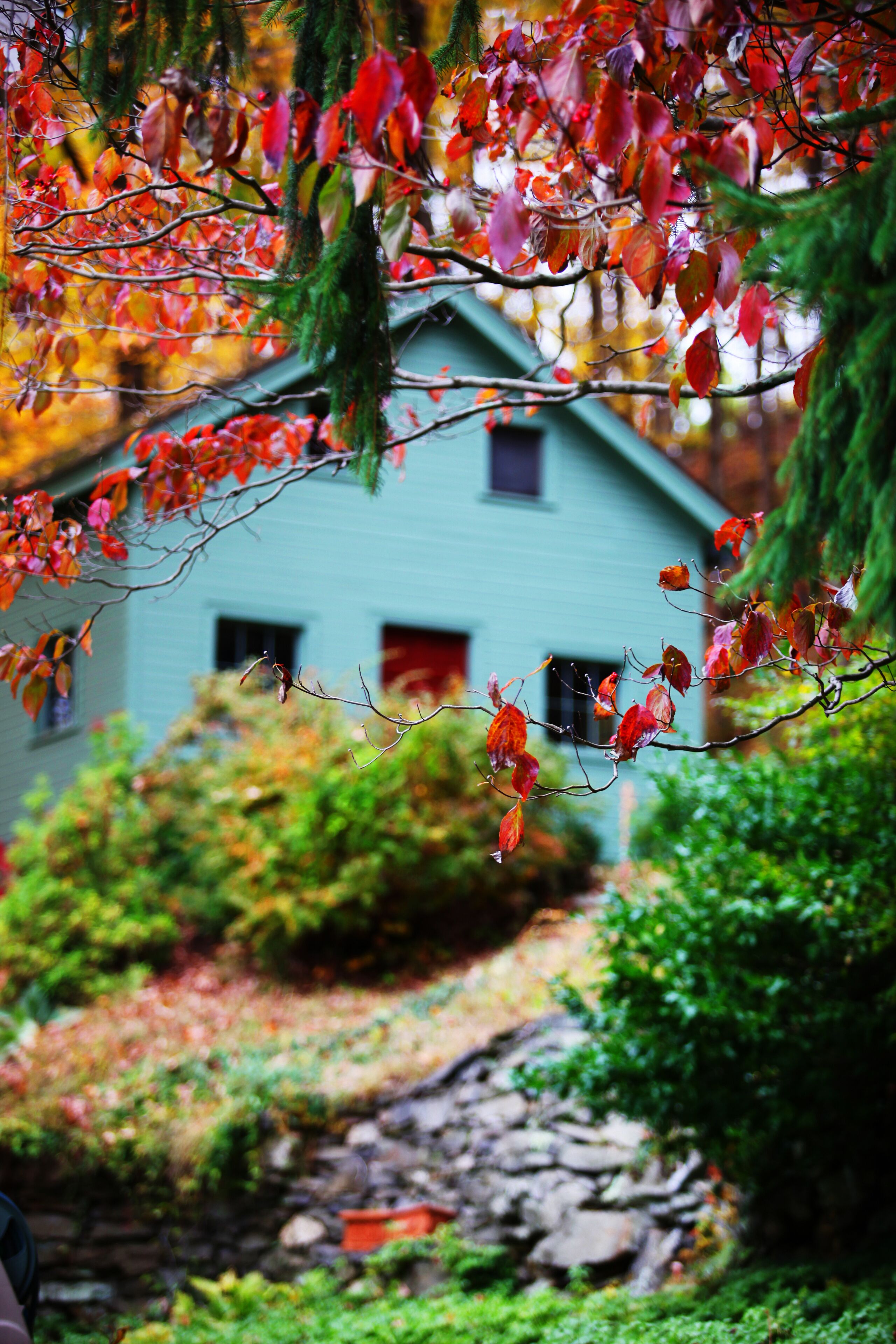 A rustic house with a stone pathway leading to it, surrounded by lush greenery and autumn leaves.