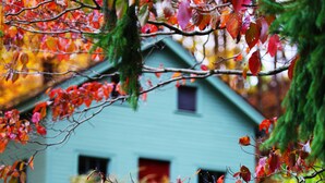 A rustic house with a stone pathway leading to it, surrounded by lush greenery and autumn leaves. - Connecticut Colonial with River and Sunset Views! (East Haddam)