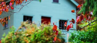 Viehättävä Colonial - historiallinen alue- Connecticut-joen näkymät - Kävele kaupunkiin