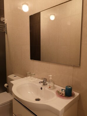 Secador de pelo, toallas, jabón, papel higiénico