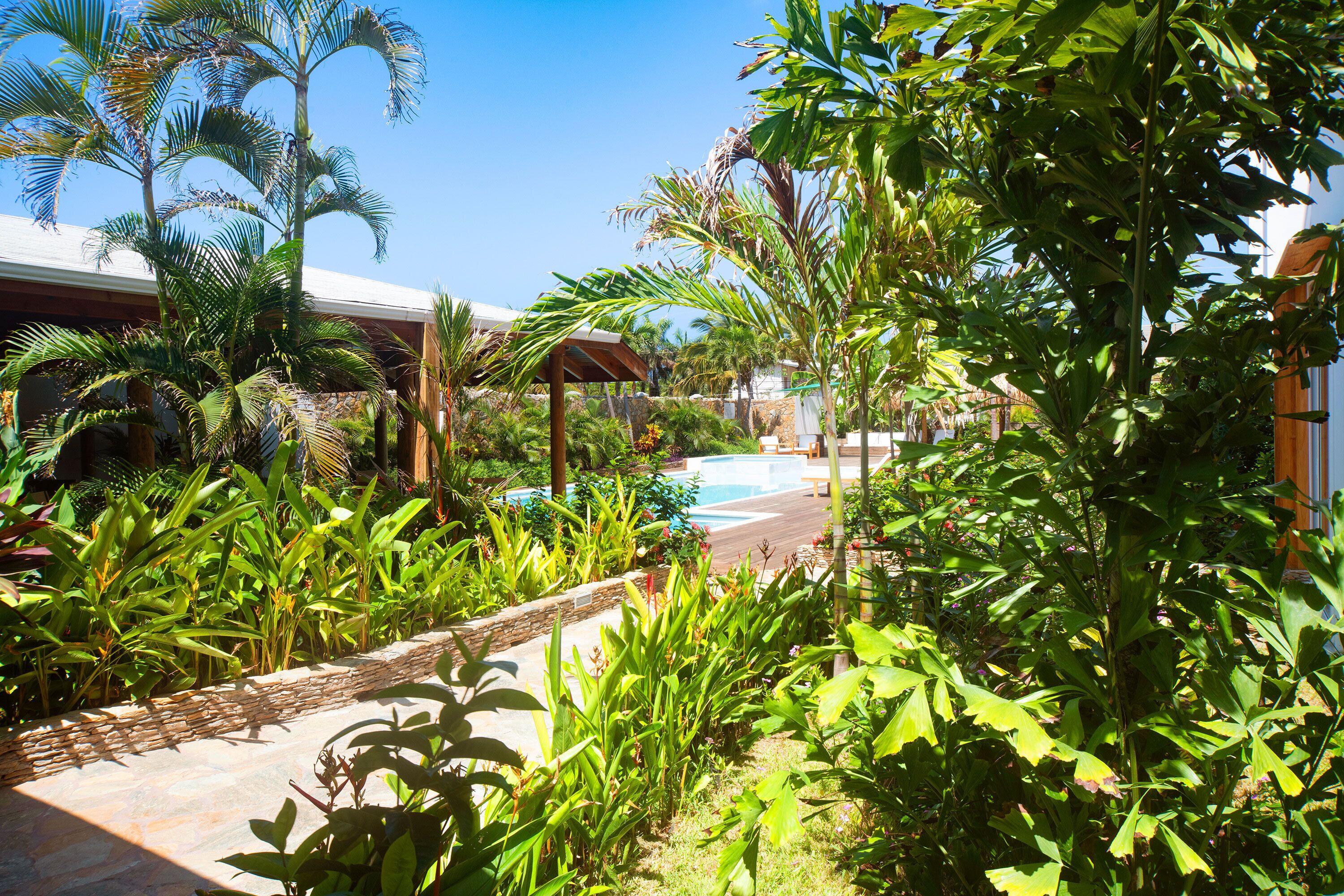 Un exuberante jardín con piscina, rodeado de diversas plantas tropicales y una pérgola.