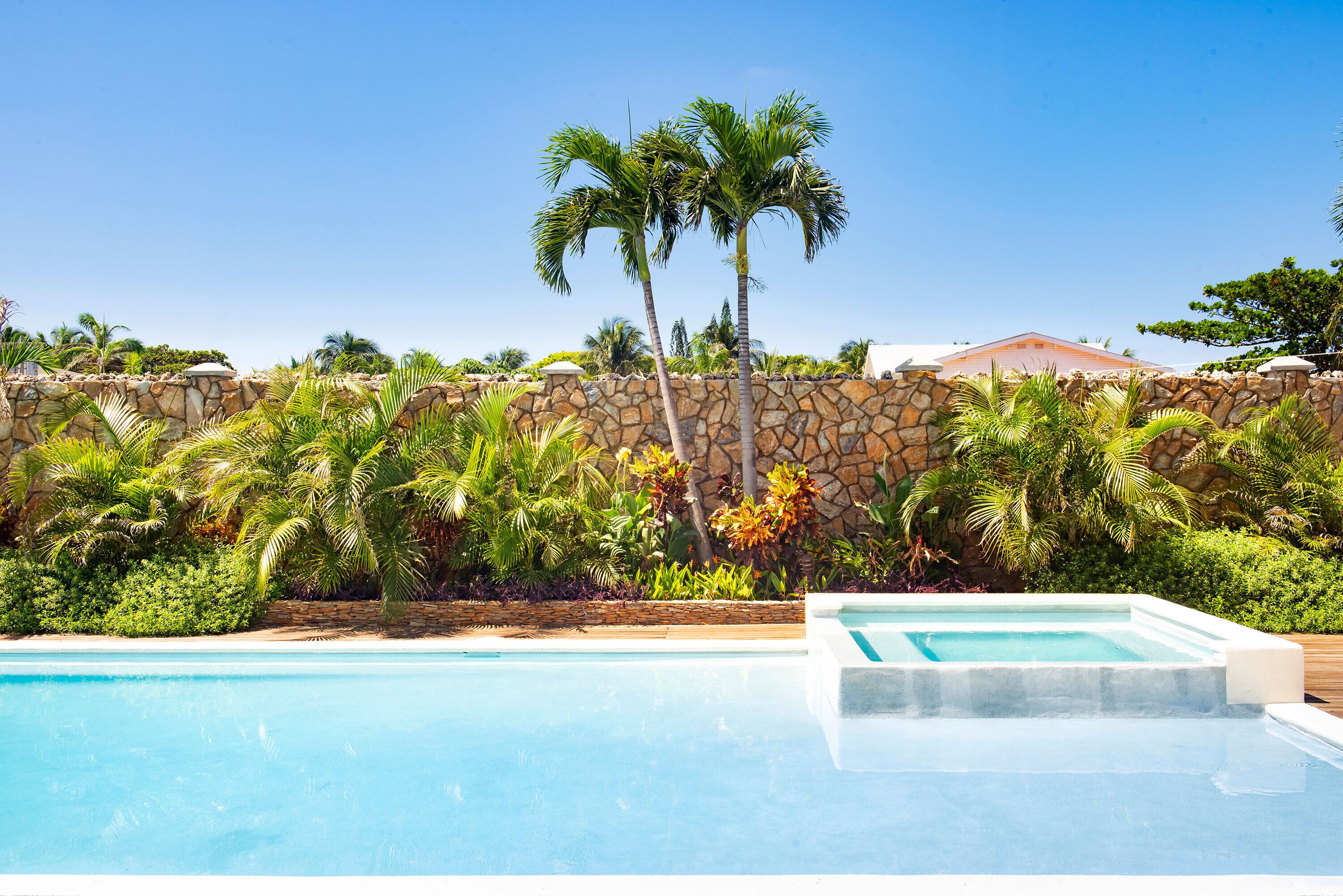 A swimming pool with a stone wall and palm trees in the background.