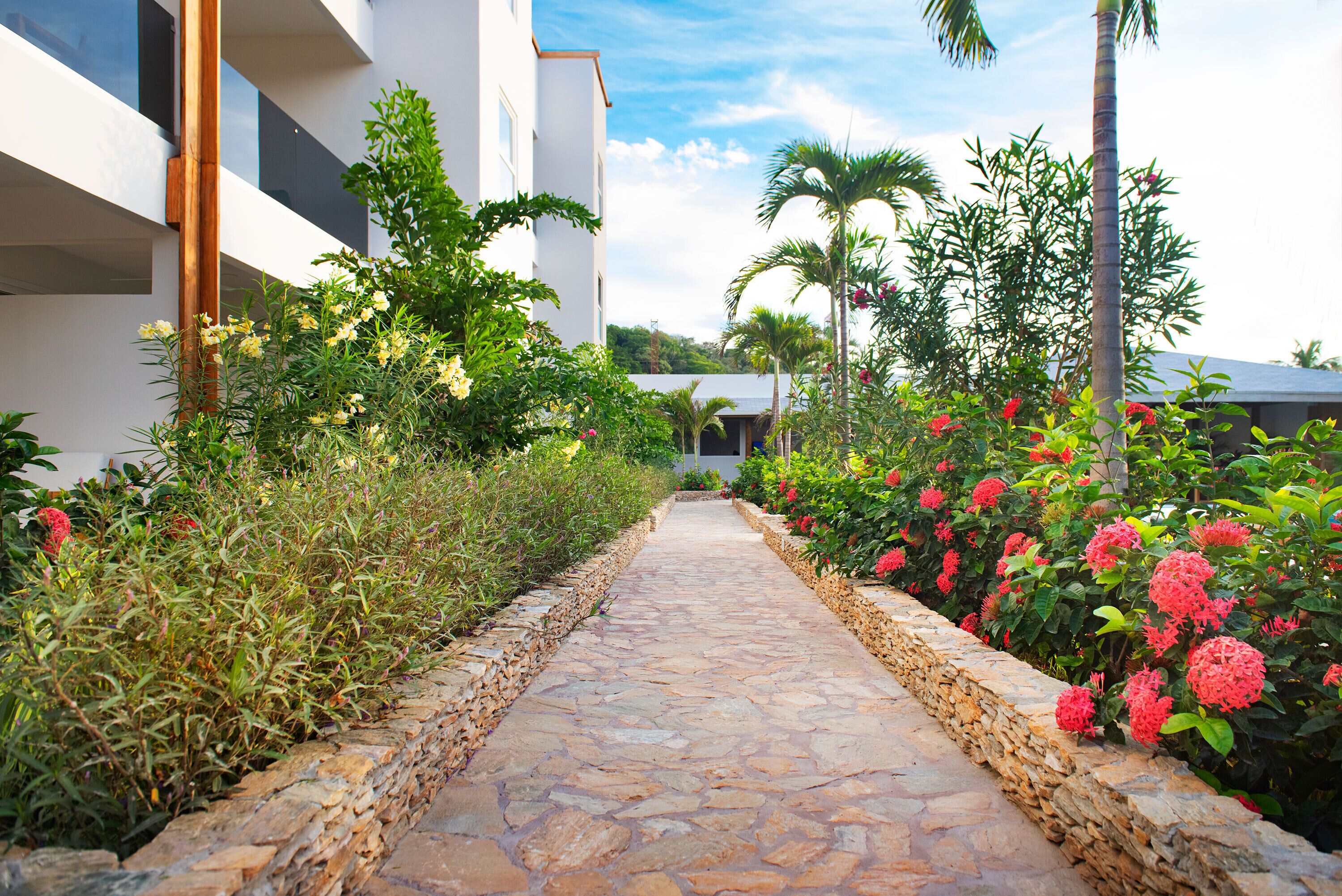 A stone pathway flanked by lush greenery and flowering plants, leading to a modern building with multiple balconies.