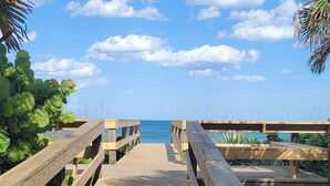 Ein hölzerner Steg führt zu einem Strand mit Palmen und einem wolkenlosen, blauen Himmel.