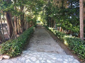 Property grounds - Relais Casina Copini (Spongano)