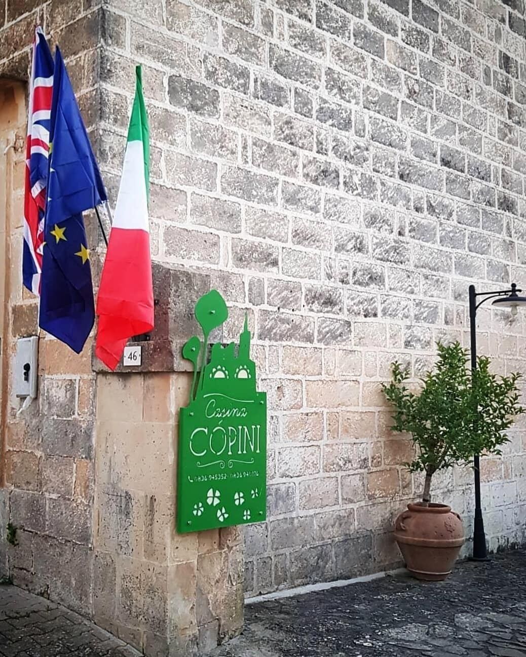 A brick wall with flags, a green sign, and a potted plant.
