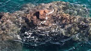A rocky outcrop in clear blue water.