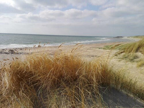 " Fitsch@sea" Cozy vacation home in the park "De Kreek" - Free WLAN