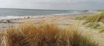 " Fitsch@sea" Cozy vacation home in the park "De Kreek" - Free WLAN